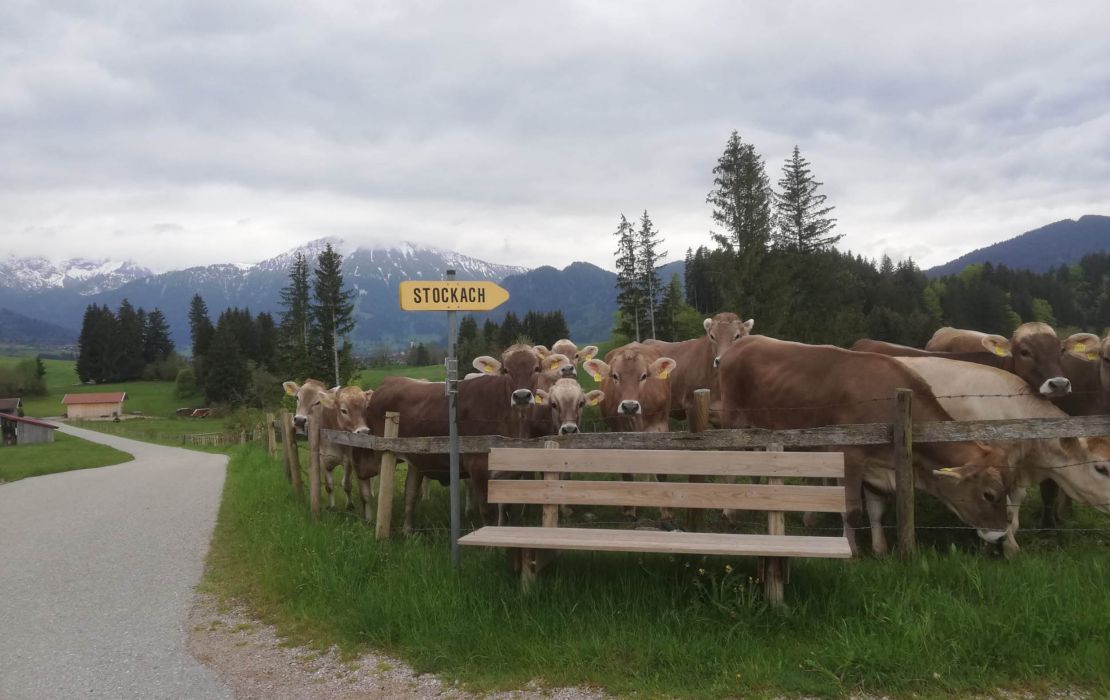 Leben auf dem Bauernhof - Ferienhof Brenner in Eisenberg