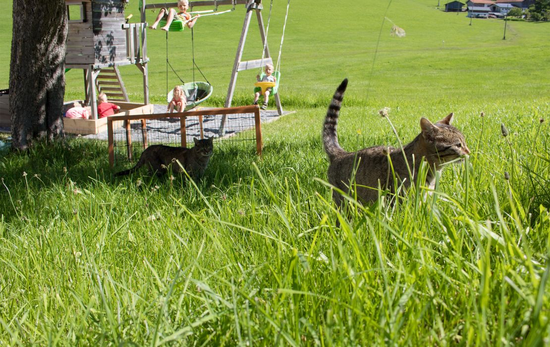 Spielplatz am Ferienhof Brenner