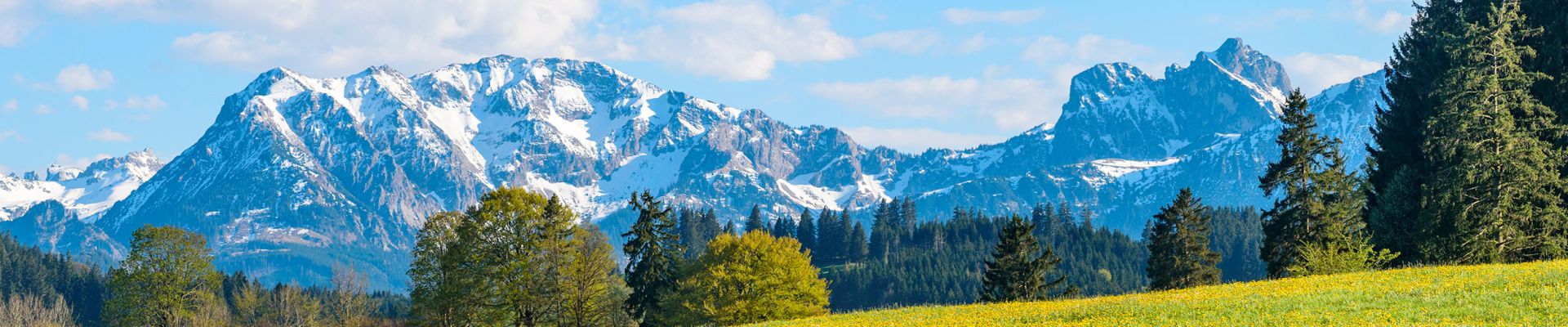 Das Allgäu