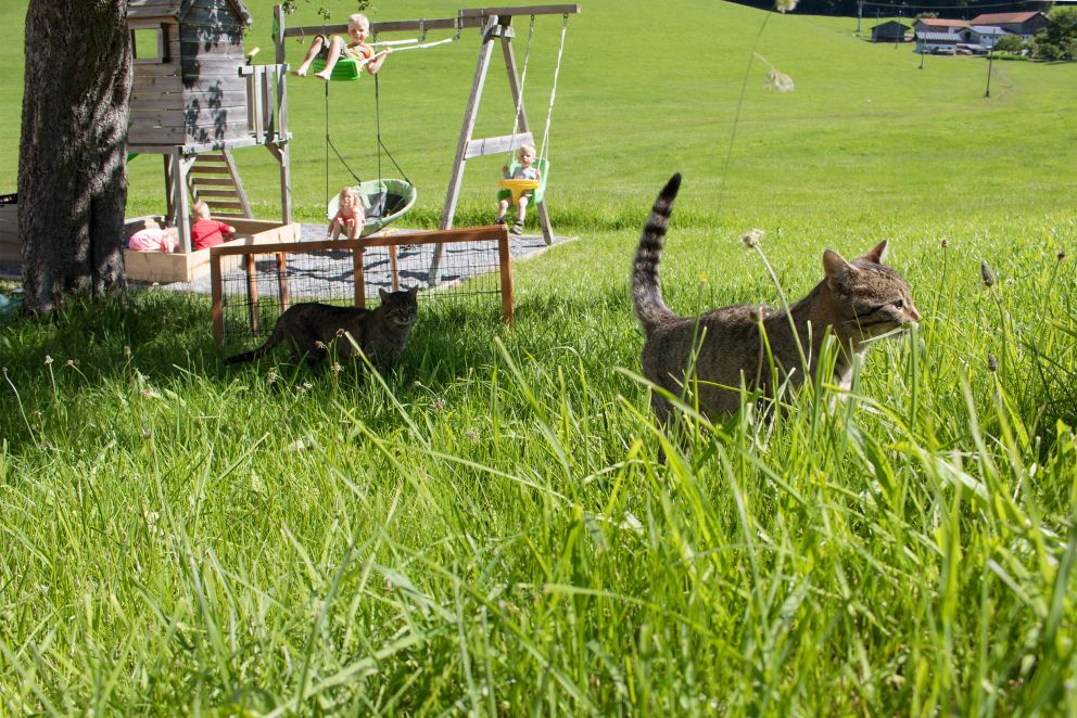 Spielplatz am Ferienhof Brenner