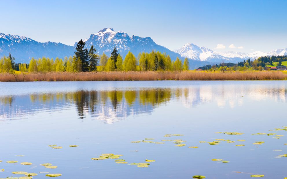 Das Allgäu