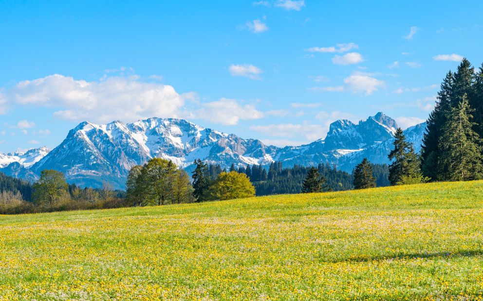 Das Allgäu